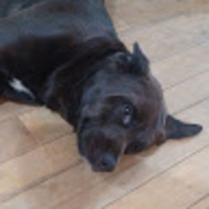 Meet your Posher, Willie